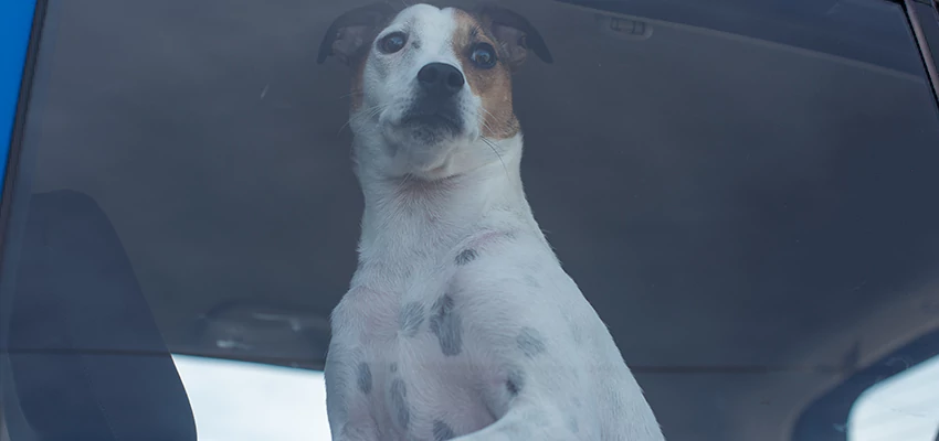 Car Lockout Solutions in Reedley, California